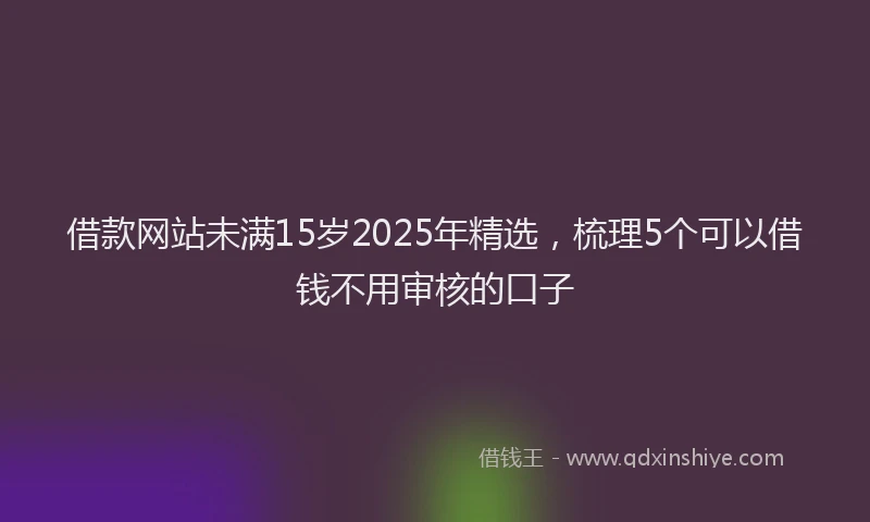 借款网站未满15岁2025年精选，梳理5个可以借钱不用审核的口子