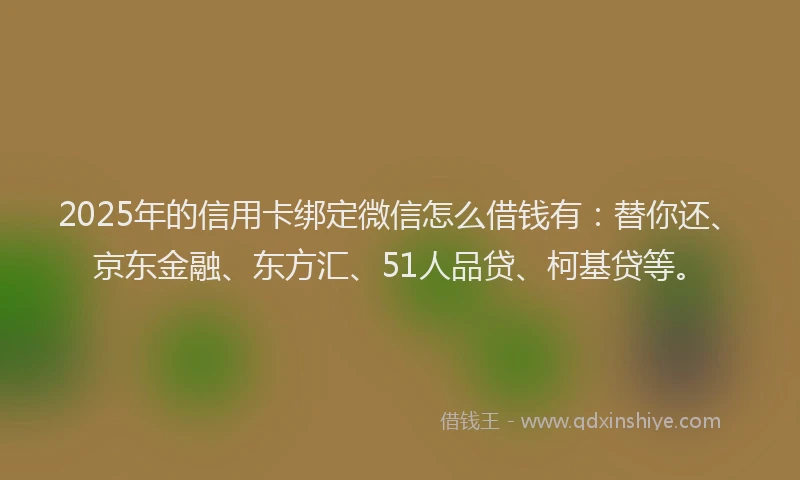 2025年的信用卡绑定微信怎么借钱有：替你还、京东金融、东方汇、51人品贷、柯基贷等。