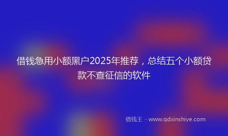 借钱急用小额黑户2025年推荐，总结五个小额贷款不查征信的软件