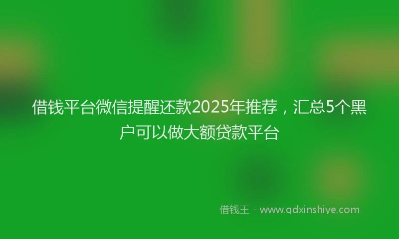 借钱平台微信提醒还款2025年推荐，汇总5个黑户可以做大额贷款平台