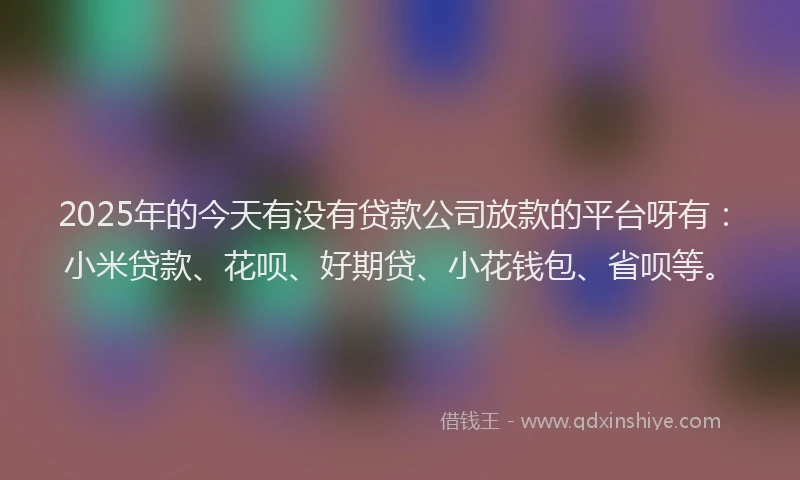 2025年的今天有没有贷款公司放款的平台呀有：小米贷款、花呗、好期贷、小花钱包、省呗等。