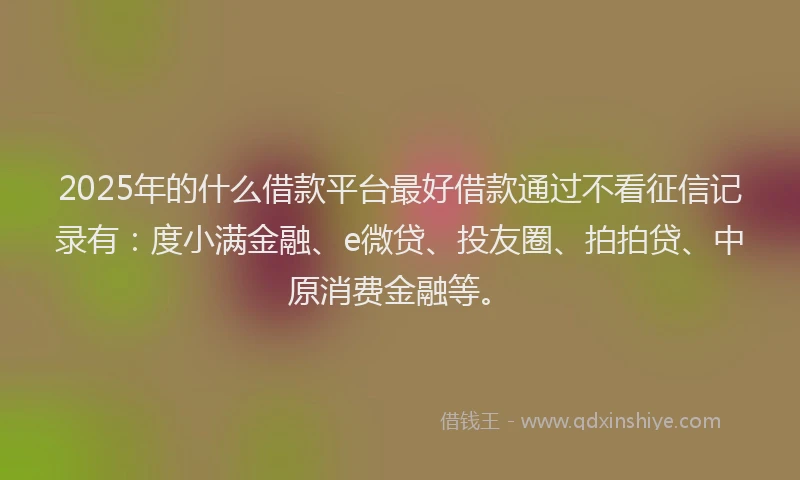 2025年的什么借款平台最好借款通过不看征信记录有：度小满金融、e微贷、投友圈、拍拍贷、中原消费金融等。