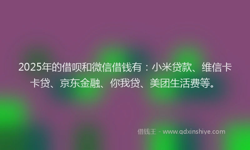 2025年的借呗和微信借钱有：小米贷款、维信卡卡贷、京东金融、你我贷、美团生活费等。