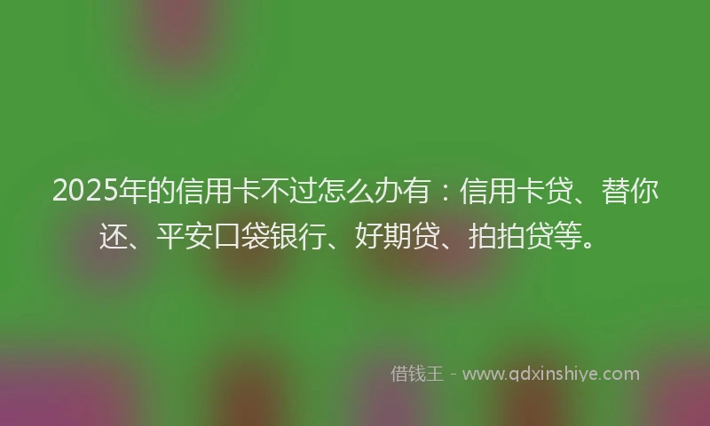 2025年的信用卡不过怎么办有：信用卡贷、替你还、平安口袋银行、好期贷、拍拍贷等。