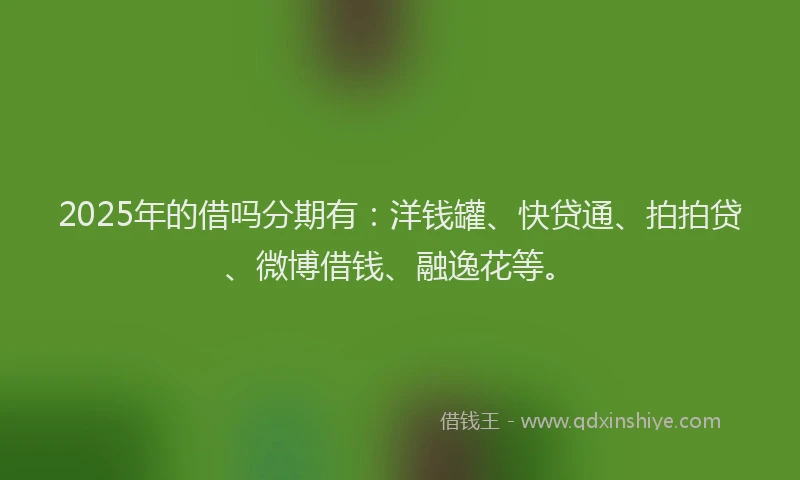 2025年的借吗分期有：洋钱罐、快贷通、拍拍贷、微博借钱、融逸花等。
