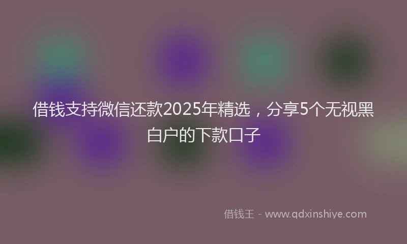 借钱支持微信还款2025年精选，分享5个无视黑白户的下款口子