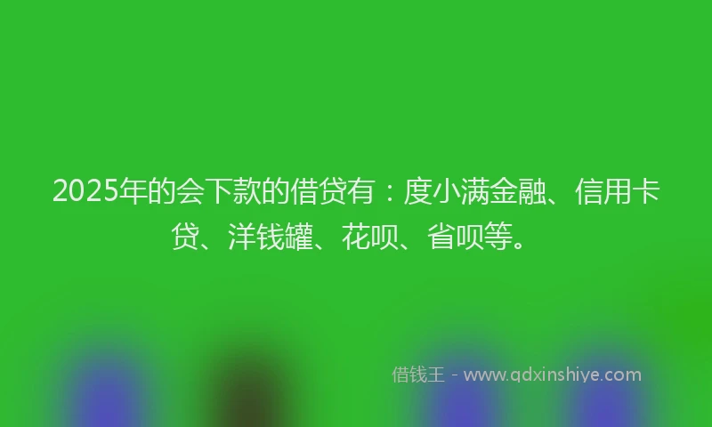 2025年的会下款的借贷有：度小满金融、信用卡贷、洋钱罐、花呗、省呗等。