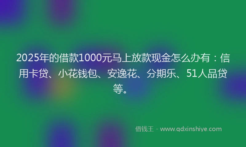 2025年的借款1000元马上放款现金怎么办有：信用卡贷、小花钱包、安逸花、分期乐、51人品贷等。