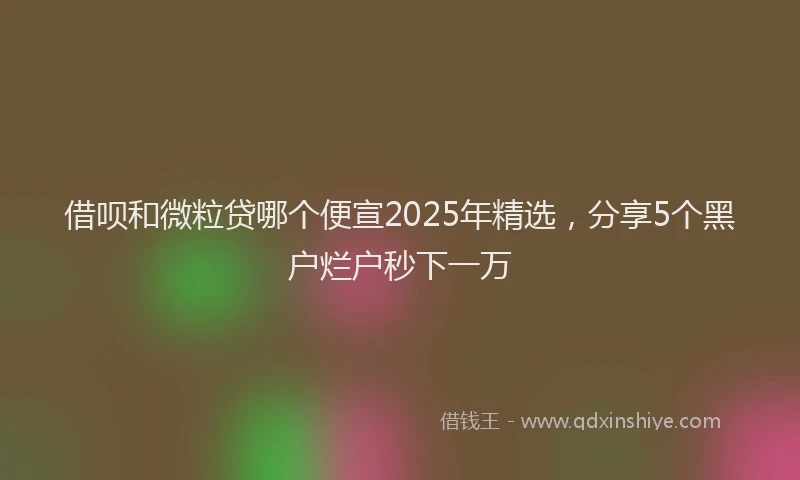 借呗和微粒贷哪个便宣2025年精选，分享5个黑户烂户秒下一万