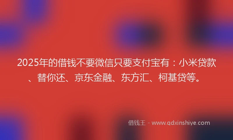 2025年的借钱不要微信只要支付宝有：小米贷款、替你还、京东金融、东方汇、柯基贷等。