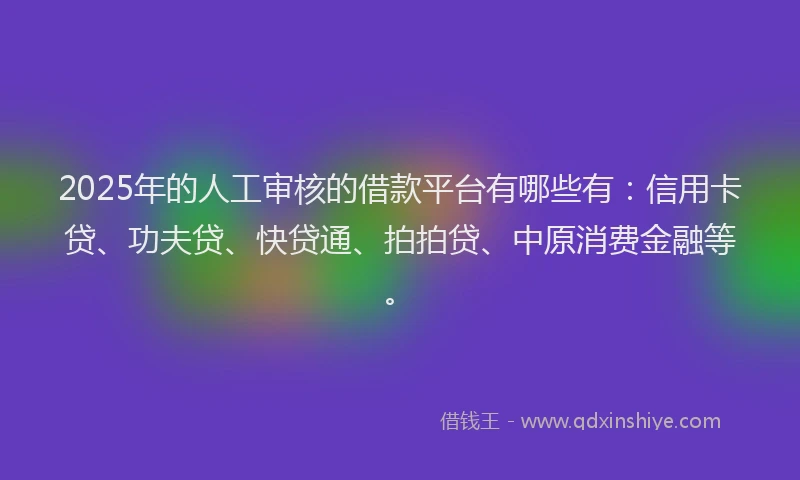 2025年的人工审核的借款平台有哪些有：信用卡贷、功夫贷、快贷通、拍拍贷、中原消费金融等。