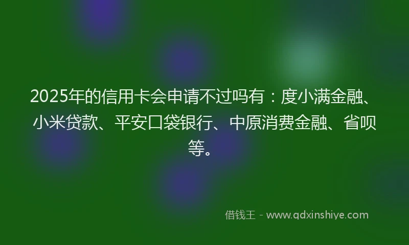 2025年的信用卡会申请不过吗有：度小满金融、小米贷款、平安口袋银行、中原消费金融、省呗等。