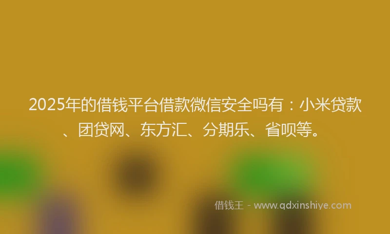 2025年的借钱平台借款微信安全吗有：小米贷款、团贷网、东方汇、分期乐、省呗等。