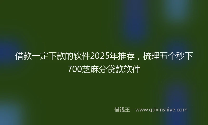 借款一定下款的软件2025年推荐，梳理五个秒下700芝麻分贷款软件