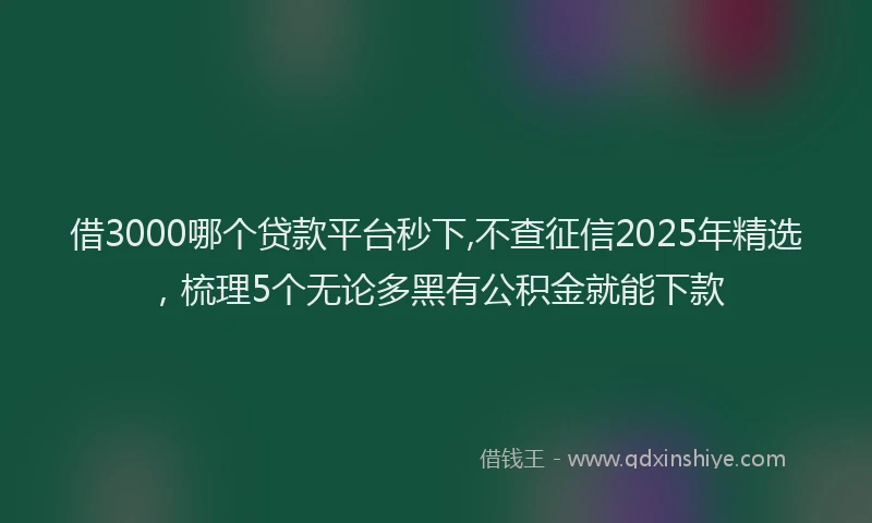 借3000哪个贷款平台秒下,不查征信2025年精选，梳理5个无论多黑有公积金就能下款
