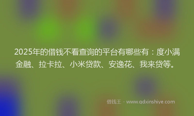 2025年的借钱不看查询的平台有哪些有：度小满金融、拉卡拉、小米贷款、安逸花、我来贷等。