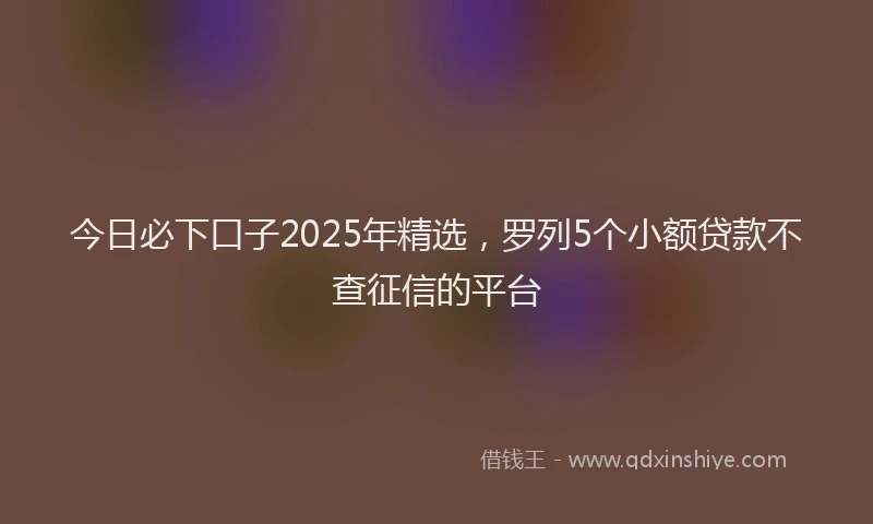今日必下口子2025年精选，罗列5个小额贷款不查征信的平台