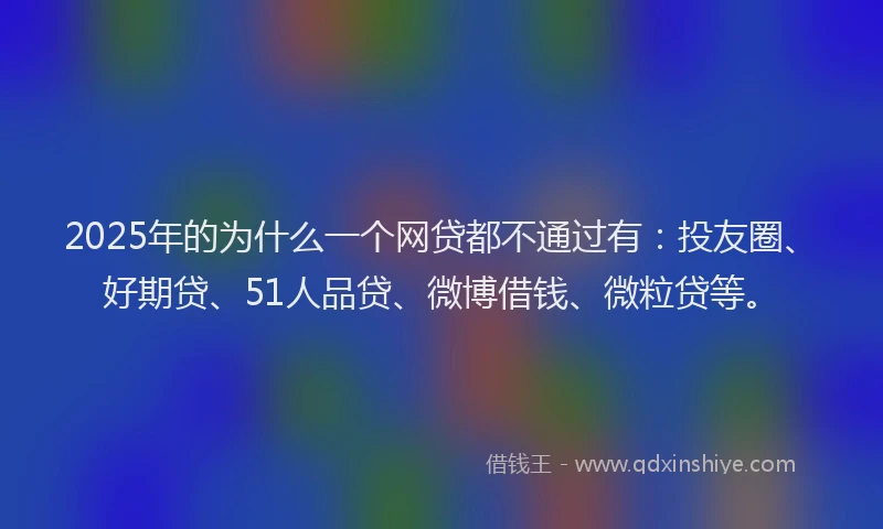 2025年的为什么一个网贷都不通过有：投友圈、好期贷、51人品贷、微博借钱、微粒贷等。