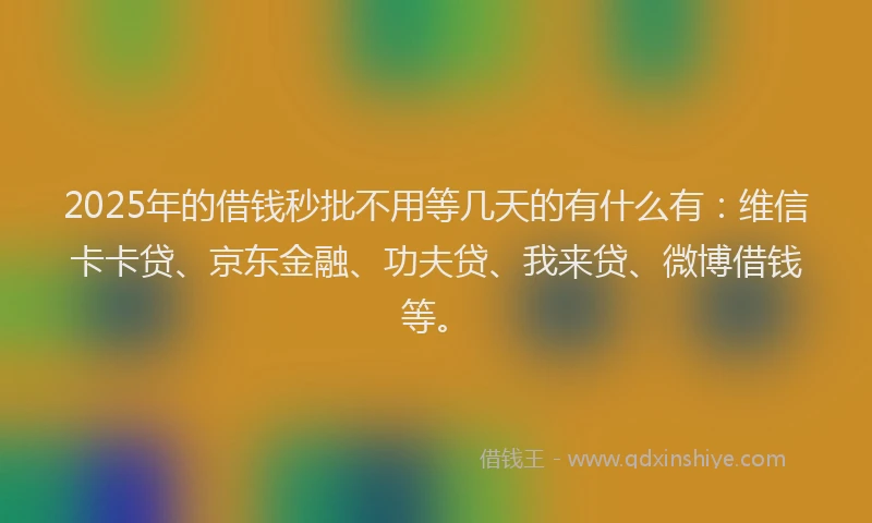 2025年的借钱秒批不用等几天的有什么有：维信卡卡贷、京东金融、功夫贷、我来贷、微博借钱等。