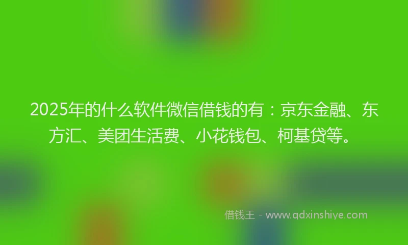 2025年的什么软件微信借钱的有：京东金融、东方汇、美团生活费、小花钱包、柯基贷等。