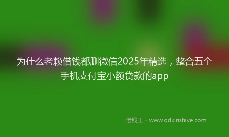 为什么老赖借钱都删微信2025年精选，整合五个手机支付宝小额贷款的app