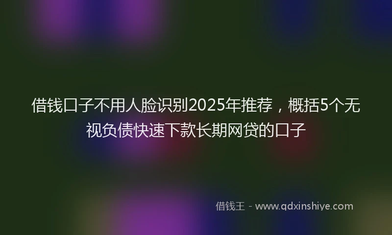 借钱口子不用人脸识别2025年推荐，概括5个无视负债快速下款长期网贷的口子