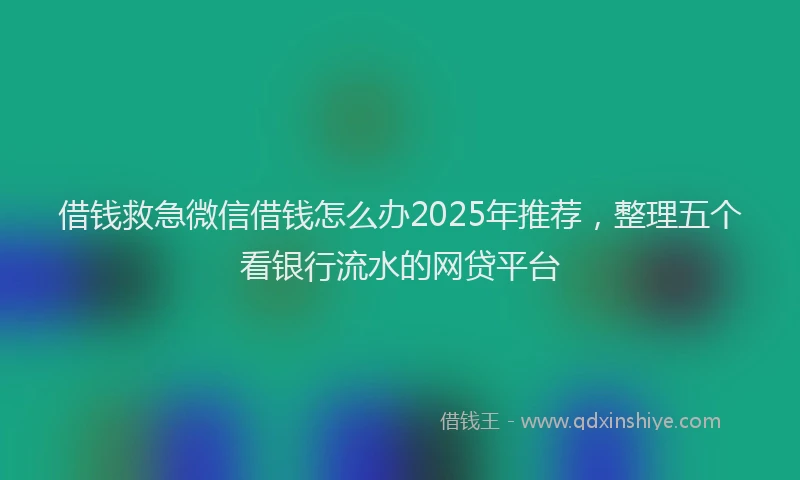 借钱救急微信借钱怎么办2025年推荐，整理五个看银行流水的网贷平台