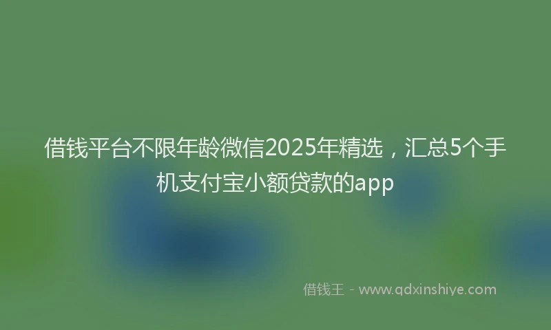 借钱平台不限年龄微信2025年精选，汇总5个手机支付宝小额贷款的app
