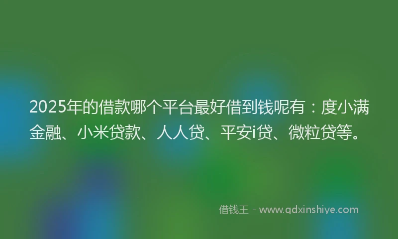 2025年的借款哪个平台最好借到钱呢有：度小满金融、小米贷款、人人贷、平安i贷、微粒贷等。