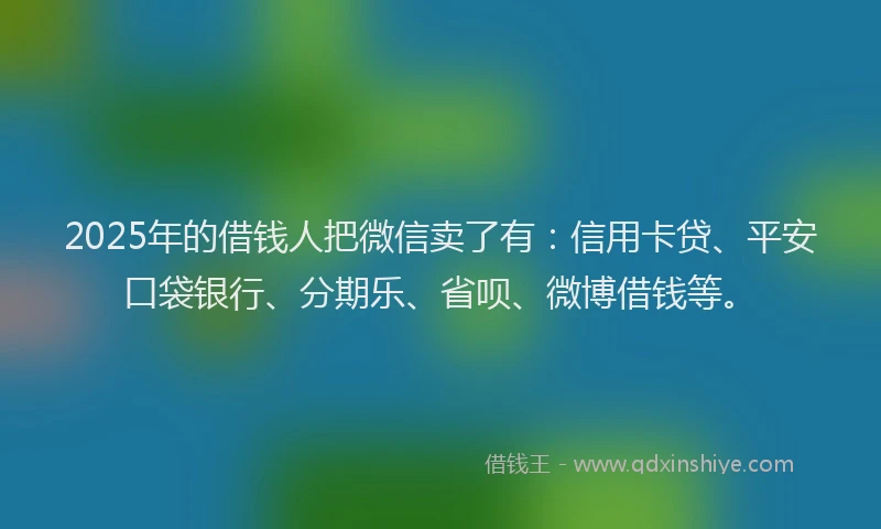 2025年的借钱人把微信卖了有：信用卡贷、平安口袋银行、分期乐、省呗、微博借钱等。