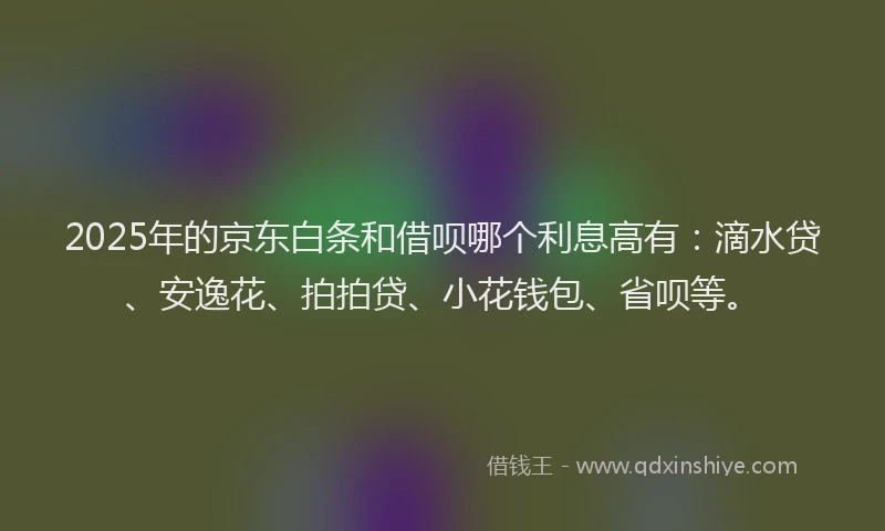2025年的京东白条和借呗哪个利息高有：滴水贷、安逸花、拍拍贷、小花钱包、省呗等。