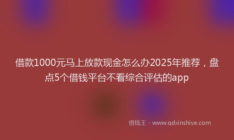 借款1000元马上放款现金怎么办2025年推荐，盘点5个借钱平台不看综合评估的app
