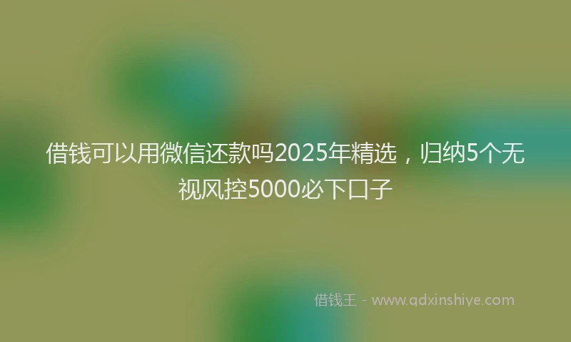 借钱可以用微信还款吗2025年精选，归纳5个无视风控5000必下口子