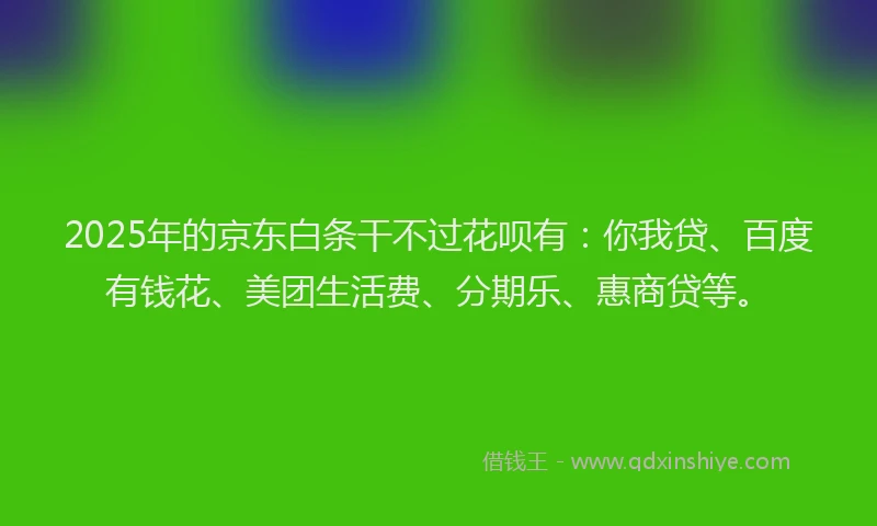 2025年的京东白条干不过花呗有：你我贷、百度有钱花、美团生活费、分期乐、惠商贷等。