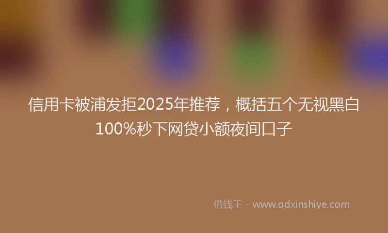 信用卡被浦发拒2025年推荐，概括五个无视黑白100%秒下网贷小额夜间口子