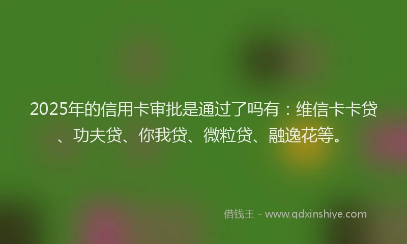 2025年的信用卡审批是通过了吗有：维信卡卡贷、功夫贷、你我贷、微粒贷、融逸花等。