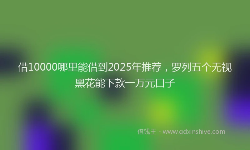 借10000哪里能借到2025年推荐，罗列五个无视黑花能下款一万元口子
