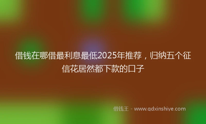 借钱在哪借最利息最低2025年推荐，归纳五个征信花居然都下款的口子