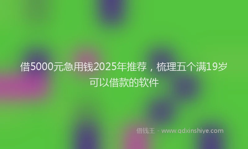 借5000元急用钱2025年推荐，梳理五个满19岁可以借款的软件
