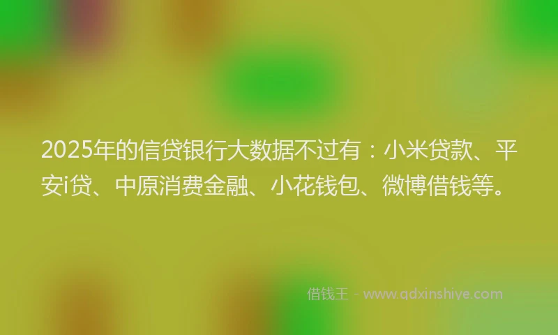 2025年的信贷银行大数据不过有：小米贷款、平安i贷、中原消费金融、小花钱包、微博借钱等。
