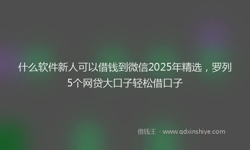 什么软件新人可以借钱到微信2025年精选，罗列5个网贷大口子轻松借口子