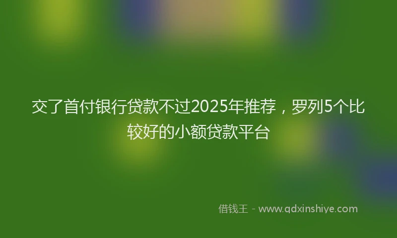 交了首付银行贷款不过2025年推荐，罗列5个比较好的小额贷款平台