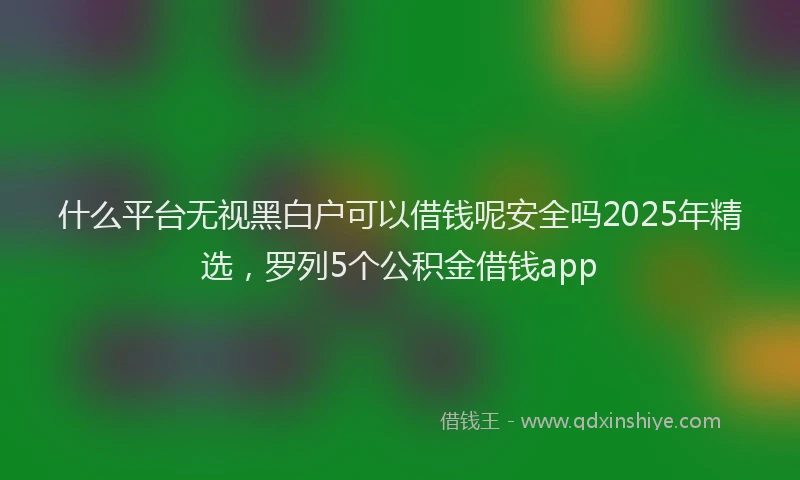 什么平台无视黑白户可以借钱呢安全吗2025年精选，罗列5个公积金借钱app