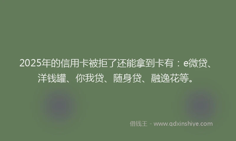 2025年的信用卡被拒了还能拿到卡有：e微贷、洋钱罐、你我贷、随身贷、融逸花等。