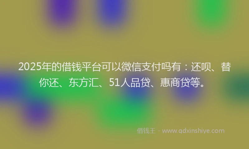 2025年的借钱平台可以微信支付吗有：还呗、替你还、东方汇、51人品贷、惠商贷等。
