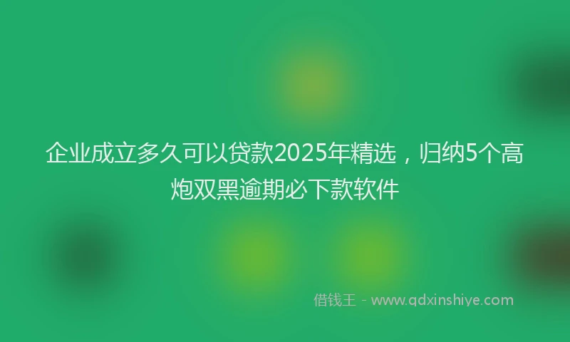 企业成立多久可以贷款2025年精选，归纳5个高炮双黑逾期必下款软件