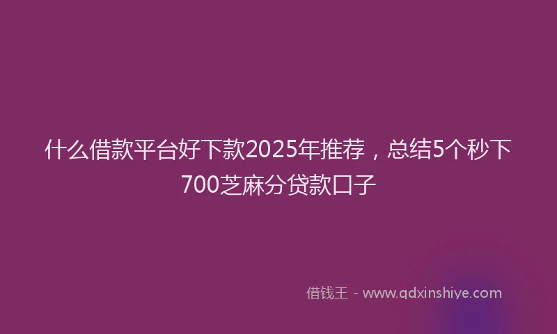 什么借款平台好下款2025年推荐，总结5个秒下700芝麻分贷款口子