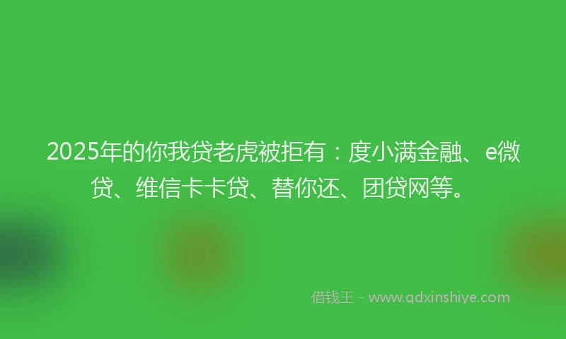 2025年的你我贷老虎被拒有：度小满金融、e微贷、维信卡卡贷、替你还、团贷网等。