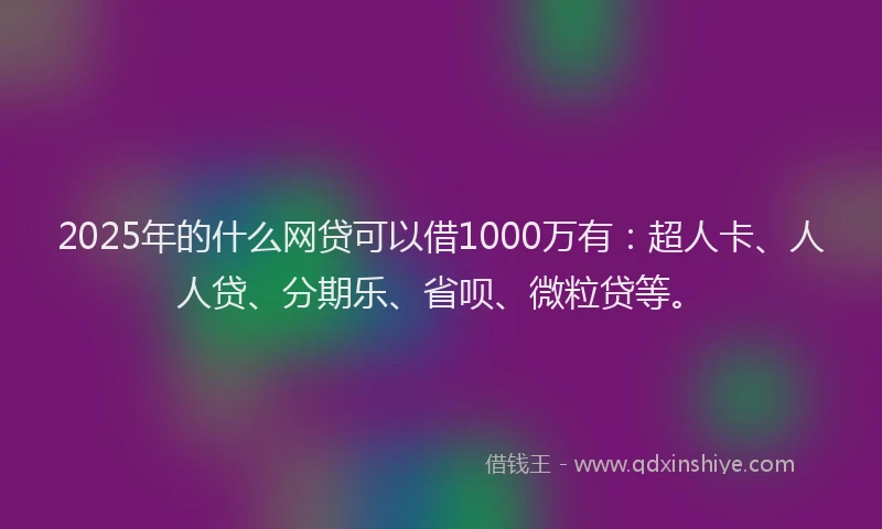 2025年的什么网贷可以借1000万有：超人卡、人人贷、分期乐、省呗、微粒贷等。