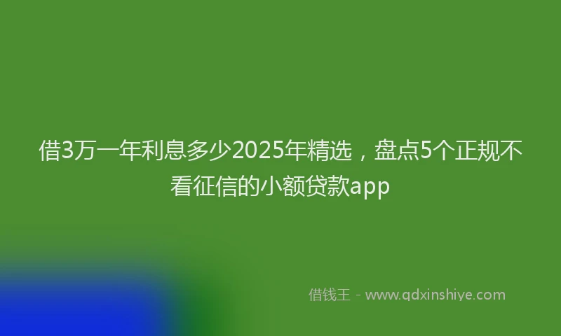 借3万一年利息多少2025年精选，盘点5个正规不看征信的小额贷款app